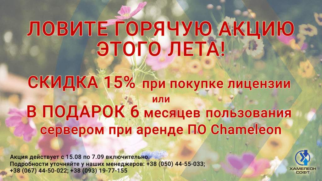 Летняя акция Хамелеон Софт